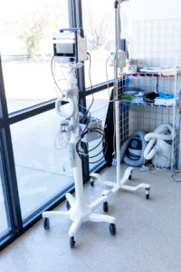 Veterinary Hospital in Layton, UT