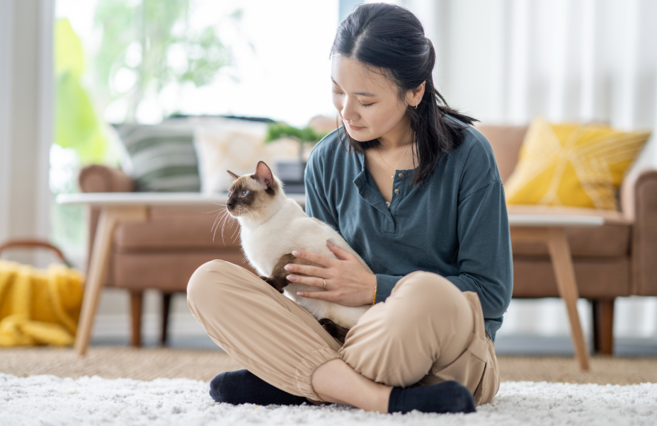 10 Common Pet Toxins Lurking in Your Home