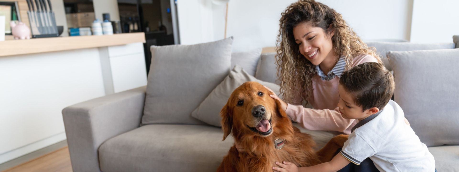 A Fresh Start Without the Risks: How Spring Cleaning Can Impact Your Pet’s Health and Safety